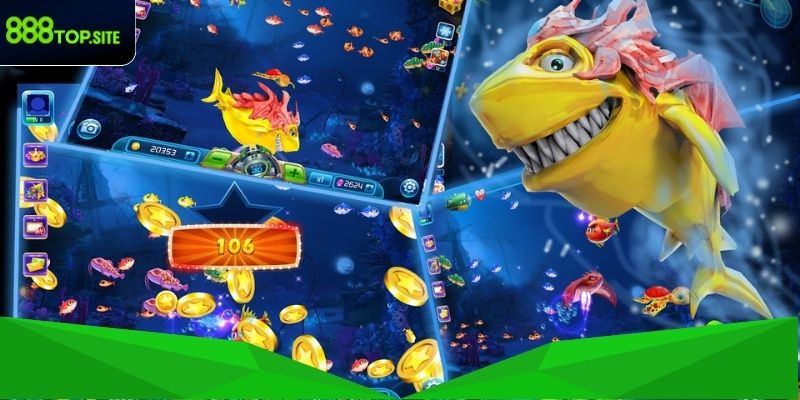 Phản hồi và đánh giá từ cộng đồng